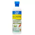 API Pond 16oz Algae Fix Treats 4800 GL