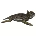 MCarr Large Horned Toad Resin Statue