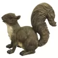 MCarr Frisky Squirrel