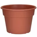 DLN 10.00 COLOR POT 1 CL 58/CS 32CS/PL