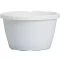 DLN 12.00 TRAD SL HB NO HGR WHT 50/CS 28CS/PL