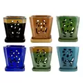 MCarr 6PC 8" Tall Floral Orchid Pot Mixed Asst