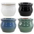 MCarr 4PC 8" Self Water Round Pot Asst