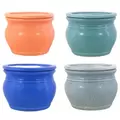 MCarr 4PC 8" Self Water Round Pot Asst