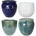 MCarr 81pc Mixed Planter Pallet Mixed Colors