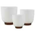 MCarr 16pc 5" Small Planter Set White