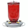Perky Pet Red Mason Jar Hummingbird Feeder