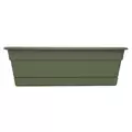 Bloem 24" Dura Cotta Window Box Living Green