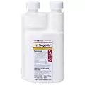 Syngenta Segovis 1Pt (8/Cs) HAZARDOUS VIA AIR ( Oxathiapiprolin )