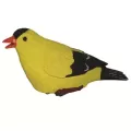 MCarr Goldfinch Chirper