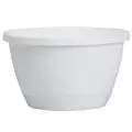 DLN 10.00 TRAD 2 WS HB NO HGR WHT 50/CS 36CS/PL