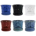 MCarr 12PC 5.1" Round Orchid Mixed Asst