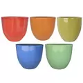 MCarr 40PC Egg Planter Plt Bright Colors