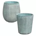 MCarr 36PC Tall Mixed Pltr Plt Verdi