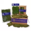 SuperMoss 120cu Bag Preserved Sheet Moss Fresh Green
