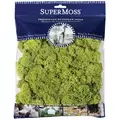 SuperMoss 120cu Bag Preserved Reindeer Moss Chartreuse
