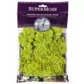 SuperMoss 2oz Reindeer Moss Chartreuse