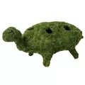 SuperMoss Turtle Planter