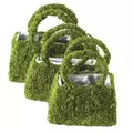 SuperMoss 3PC Set Deco Beaumont Purse Basket