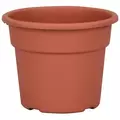 DLN 06.00 COLOR POT TL CL 98/CS SEASONAL 66CS/PL