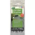 Dalen 40ct Garden Staples