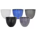 MCarr 40pc Techno Egg Planter Pallet Mixed Colors