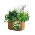 Panacea 5Gal Grow Bag Herbs