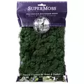 SuperMoss 2oz Reindeer Moss Forest