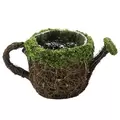 SuperMoss Deco Water Can Small
