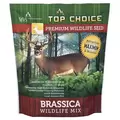 Top Choice Wild Game Turnip 2
