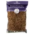 SuperMoss 8oz Spanish Moss Preserved Coffee