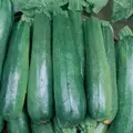 SQUASH, BLACK BEAUTY 1/2 OZ EACH