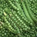 Peas, Green Arrow - 50lb