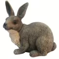 MCarr Brother Rabbit