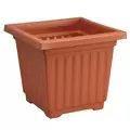 DLN 15.00 SQ COLOR PLNTR CL 10/CS 33CS/PL