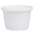 DLN 06.00 EURO SL HB NO HGR WHT 100/CS 60CS/PL