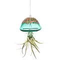 APM Air Plant Jellyfish Lake Green/Gold