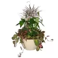 Bld 14.00 SL Hanging Basket W/MOCHA 26" FLEX HGR MOCHA 25/CS