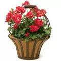 Deer Park Solera Basket With Coco Liner