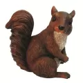 MCarr Squirrel