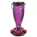 Perky Pet 24oz Glass Top Fill Hummingbird Feeder Diamond Wine