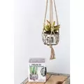 Primitive Box Route 66 Pot With Hanger