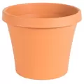 Bloem 10" TerraPot Terra Cotta