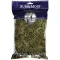 SuperMoss 2oz Forest Moss Dried Natural