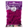 SuperMoss 2oz Reindeer Moss Fuchsia