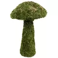 SuperMoss Sm Deco Mushroom
