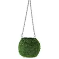 SSI 6" Kokedama Green Moss