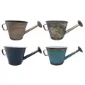 VCS 10" KD Vintage Watering Can Planters