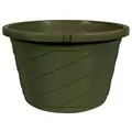 DLN 10.00 EURO SL TS HB NO HGR GREEN 50/CS 50CS/PL Cap dish Optional