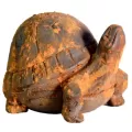 MCarr Liconfiber 10" Rusty Turtle